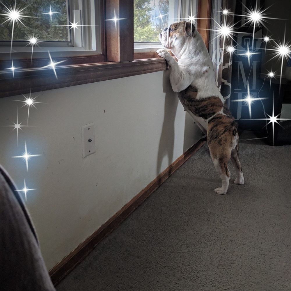 Meet your Posher, Susan